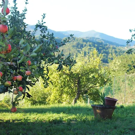 Tranquil Tuscan House With Pool And Scenic Views