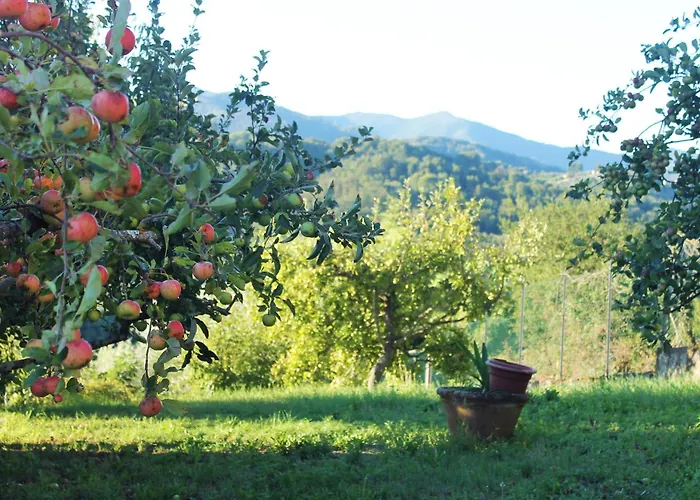 Tranquil Tuscan House With Pool And Scenic Views